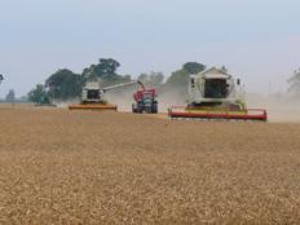 Lauksaimniecības nozares uzņēmuma 