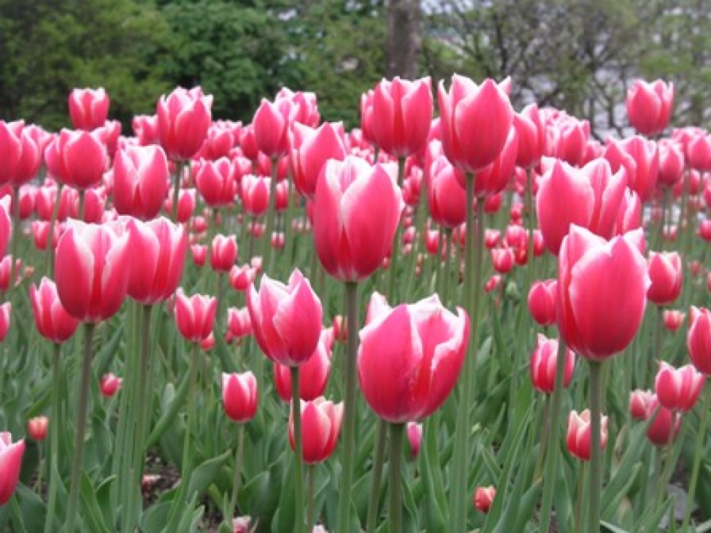 Fotoattēlam ilustratīva nozīme.