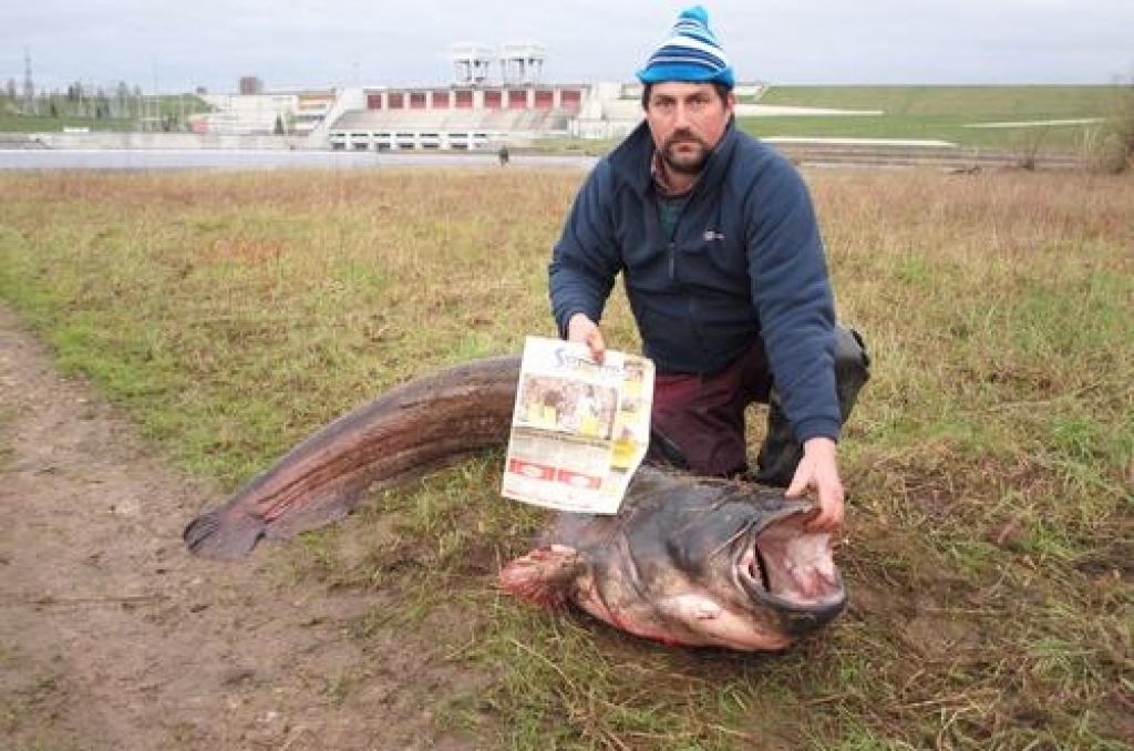 Autors: www.staburags.lv