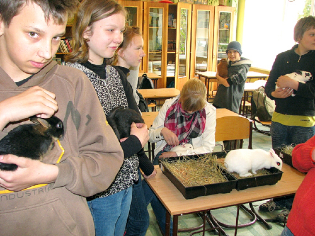 6.b klases audzēkņi dabaszinību stundā priecājās par trušiem. 