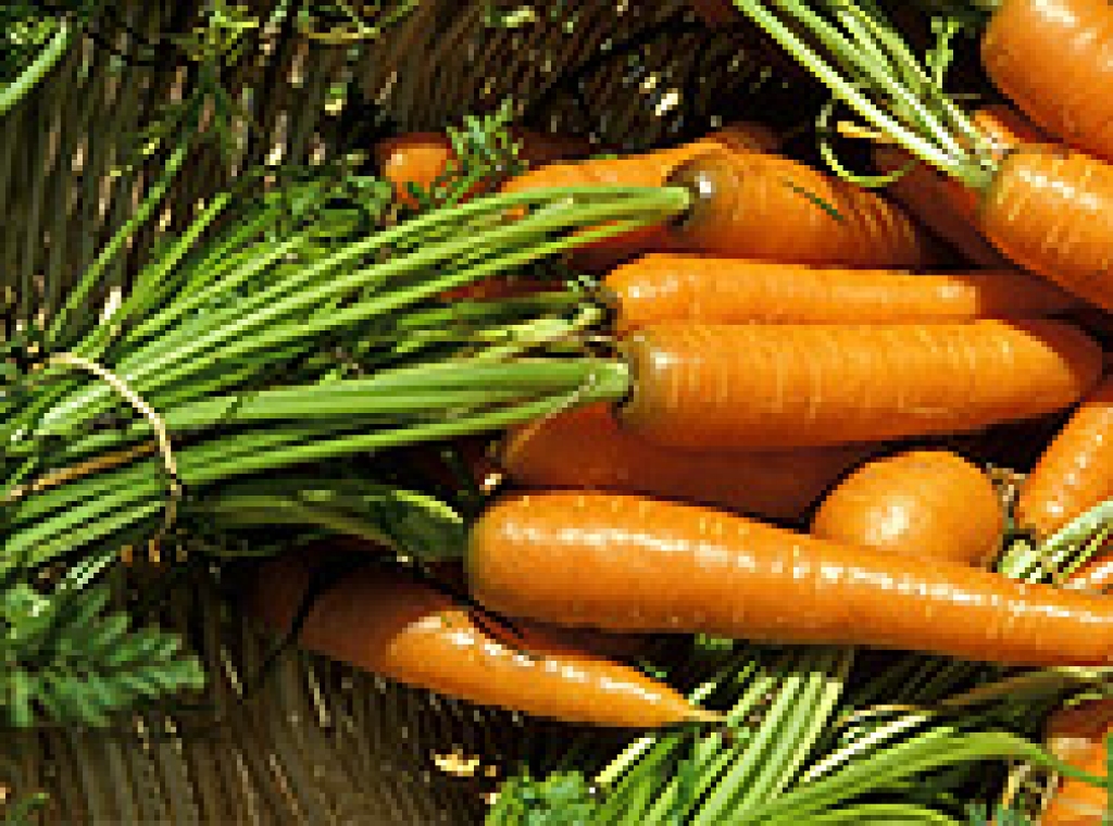 Fotoattēlam ilustratīva nozīme.