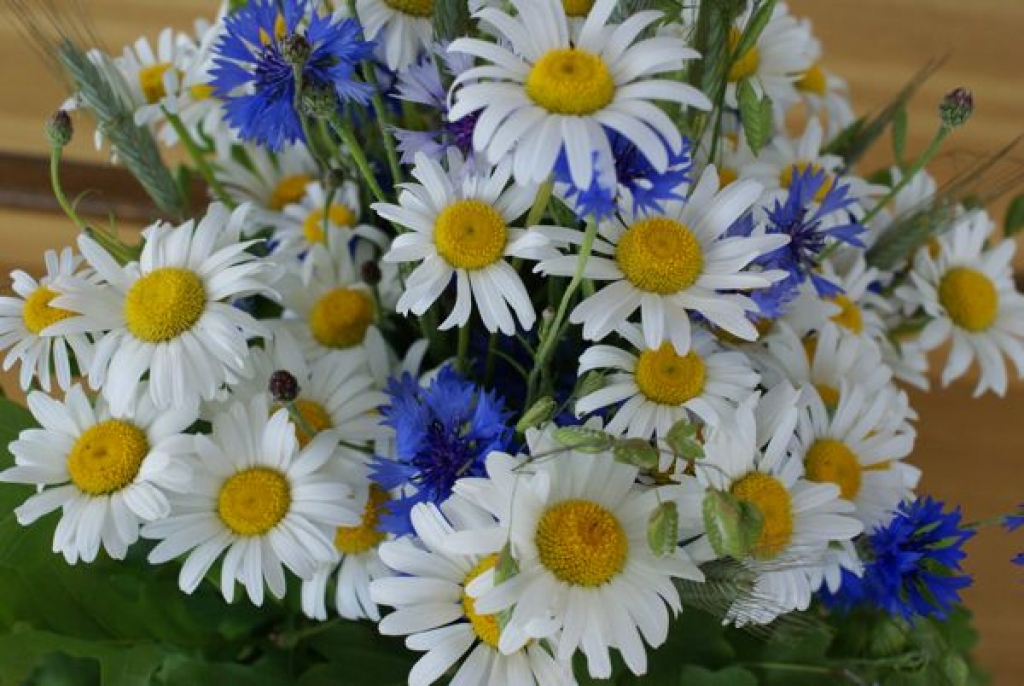 Fotoattēlam ilustratīva nozīme.