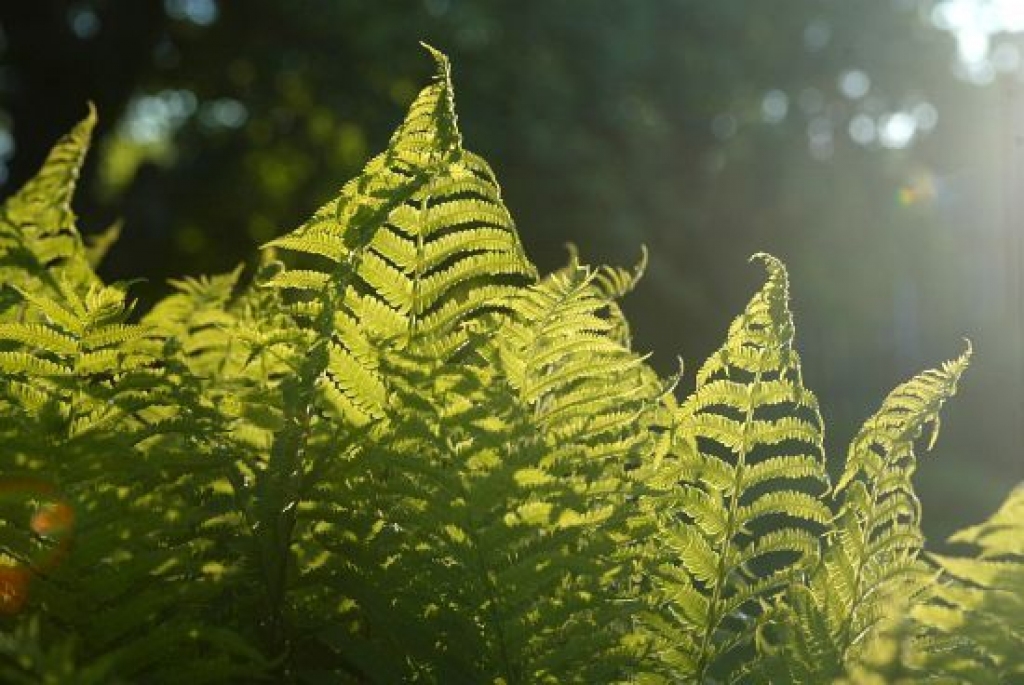 Fotoattēlam ilustratīva nozīme.
Autors: www.diena.lv