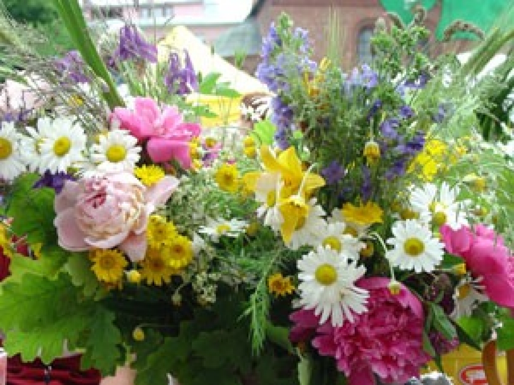 Fotoattēlam ilustratīva nozīme.
Autors: www.apollo.lv