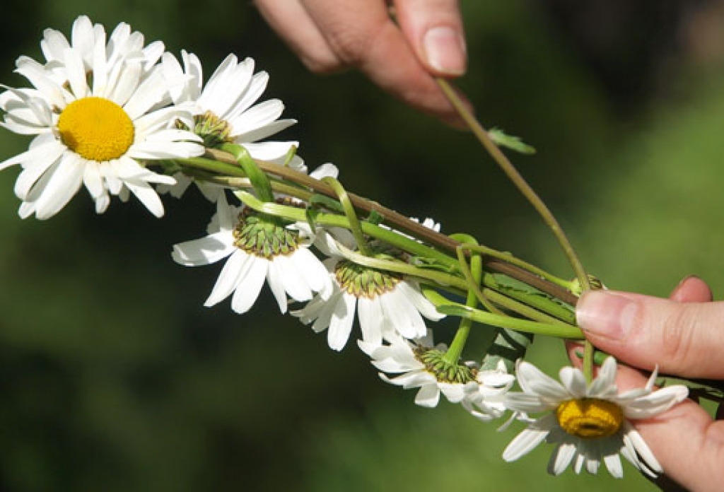 Fotoattēlam ilustratīva nozīme.
Autors: www.diena.lv