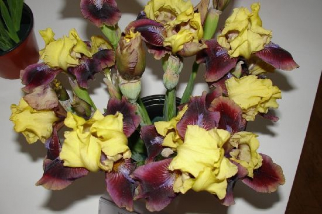 Fotoattēlam ilustratīva nozīme.
Autors: www.diena.lv