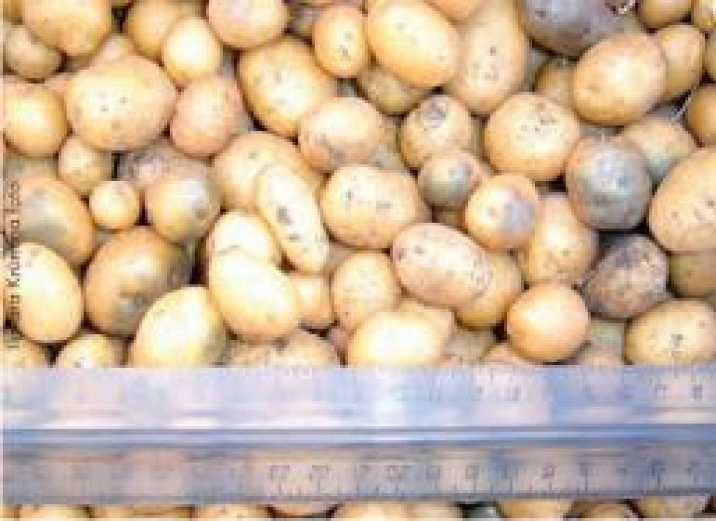 Fotoattēlam ilustratīva nozīme.
Autors: www.2la.lv