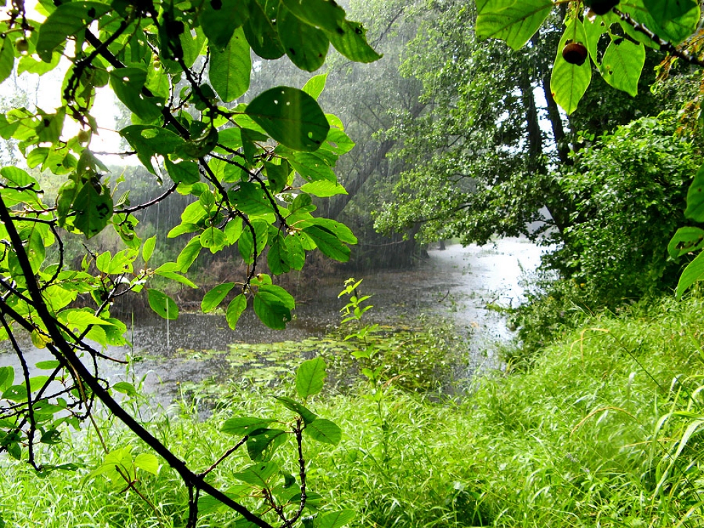 Fotoattēlam ilustratīva nozīme.