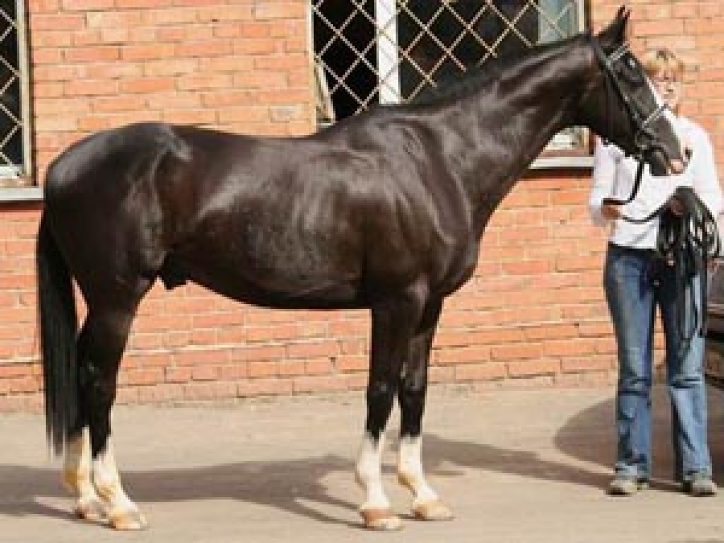 Fotoattēlam ilustratīva nozīme.
Autors: www.petnet.lv