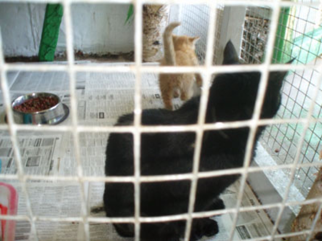 Fotoattēlam ilustratīva nozīme.
Autors: lapas.dau.lv