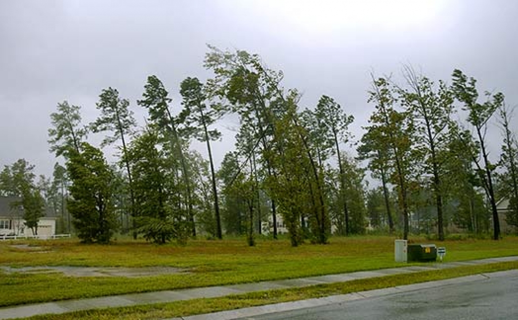 Fotoattēlam ilustratīva nozīme.