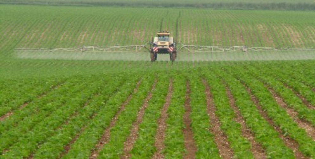 Attēlam ir ilustratīva nozīme.