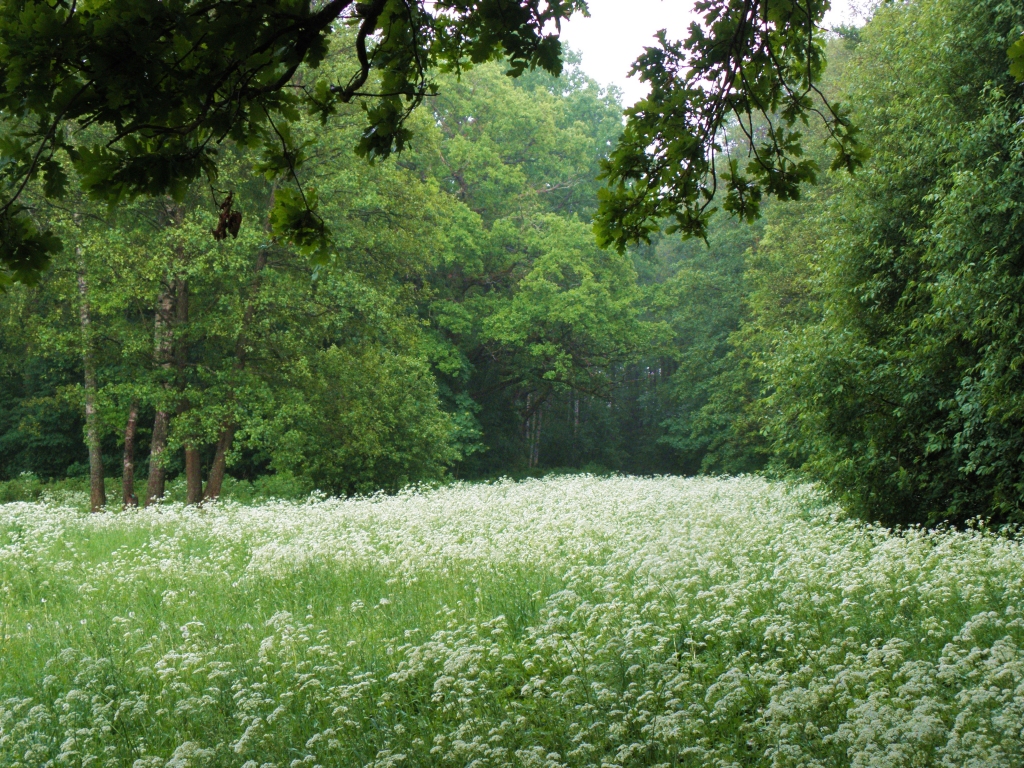 Fotoattēlam ilustratīva nozīme.
