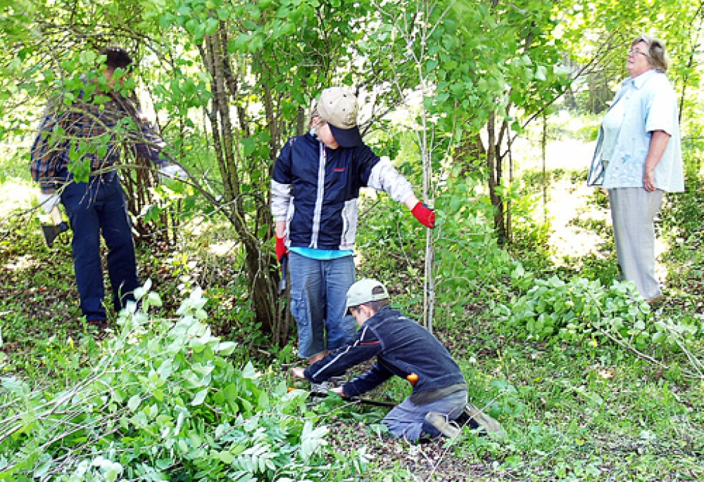 Divi Tomi cenšas izrakt ar sīkstu krūma sakni, dārzniece Daina Rudzīte dod padomus Dievdārziņa kopējiem.