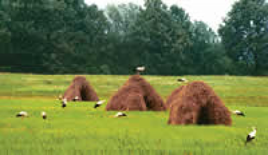 Fotoattēlam ilustratīva nozīme.