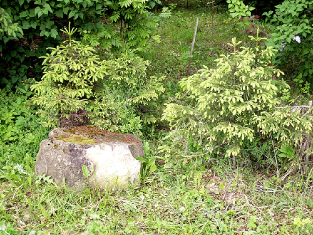 Svētdien visi čaklie ļaudis tiek gaidīti uz otro talku Iecavas Dievdārziņā.
Autors: no «Bauskas Dzīves» arhīva