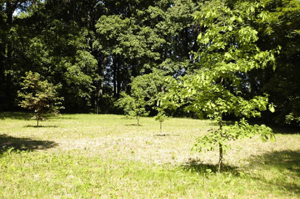 Budbergas parka ainava.
Autors: no «Bauskas Dzīves» arhīva