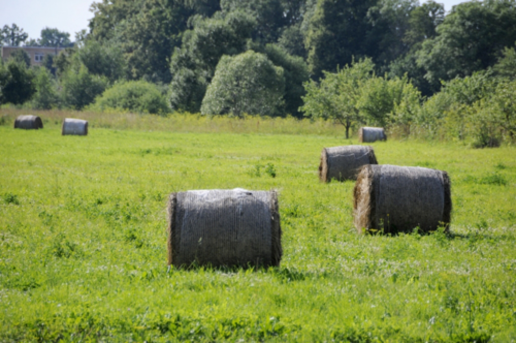 Daudzas zemnieku saimniecības mūsu novados zāles barību gādā, izmantojot jaunākās tehnoloģijas. 
Autors: Ivars Bogdanovs