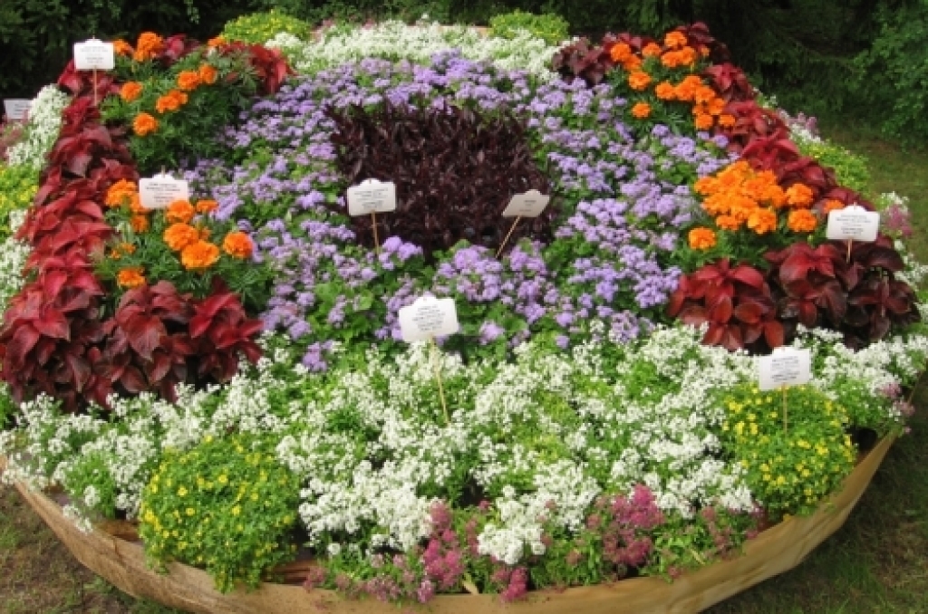 Dārzu un puķu skaistums pagājušā gada Ziedu ballē.
Autors: no www.ntz.lv