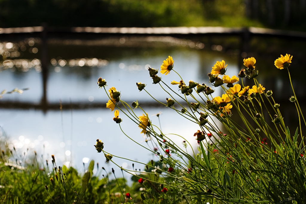 Autors: foto.tunt.lv