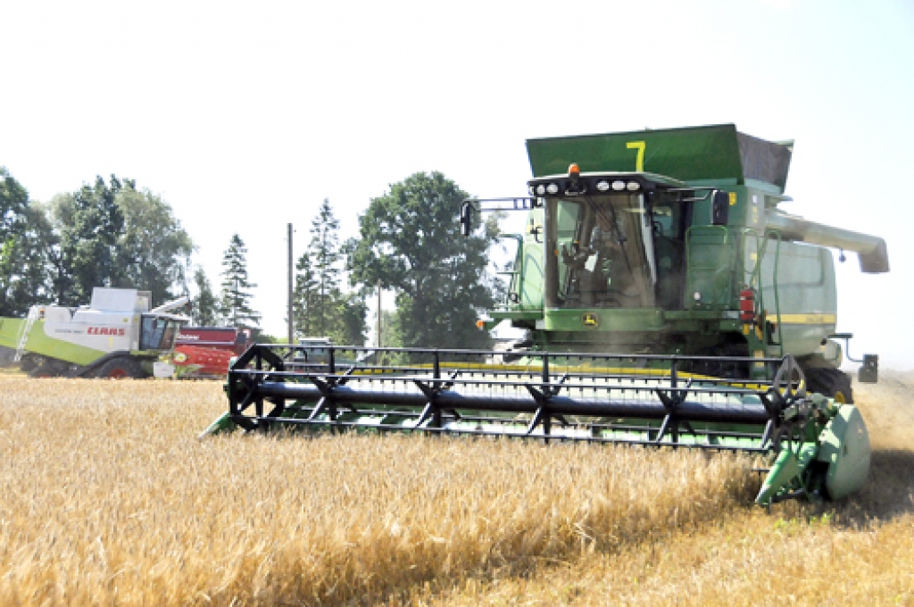 SIA «Uzvara-Lauks» ziemas miežu novākšanā strādā moderni lieljaudas kombaini.