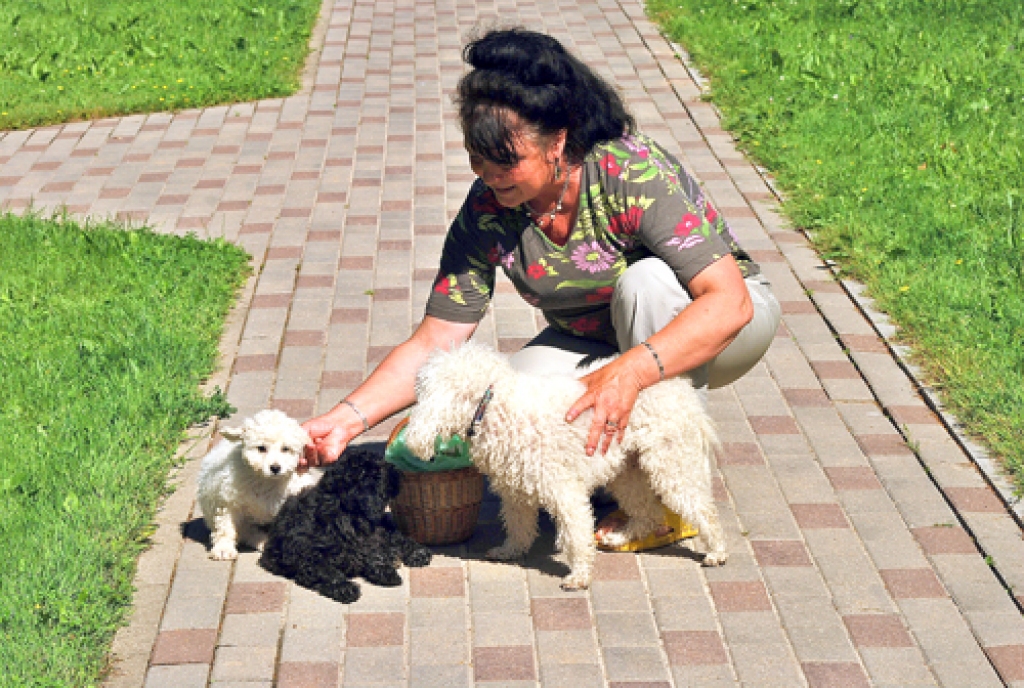 Pūdeļu saimniece Laima Ozoliņa ar suņuku māmiņu Tiju un abiem mazajiem – Peciņu un Robi.