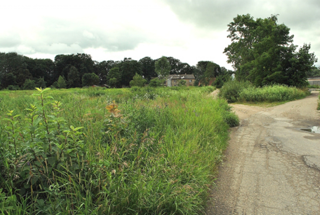 Pie Biržu ielas Bauskā no apbedīšanas biroja puses paveras šāds skats.