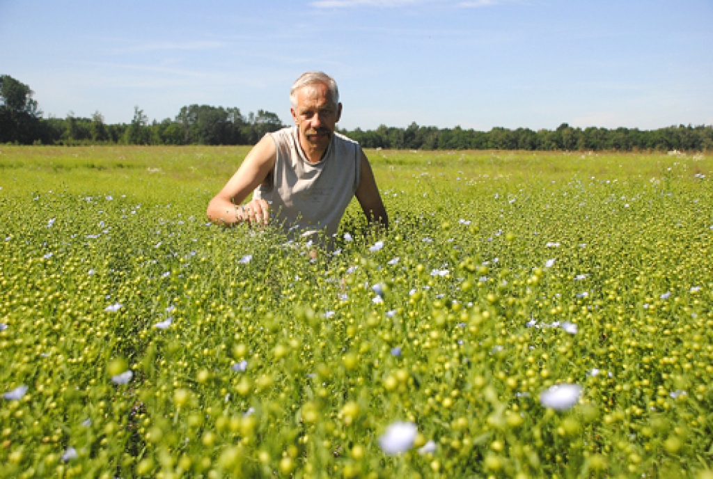 Brunavietis Dainis Druseiks šajā pavasarī īpaši sekojis līdzi laukiem, kur iesēti eļļas lini, jo šo kultūru zemnieks audzē pirmo gadu. 