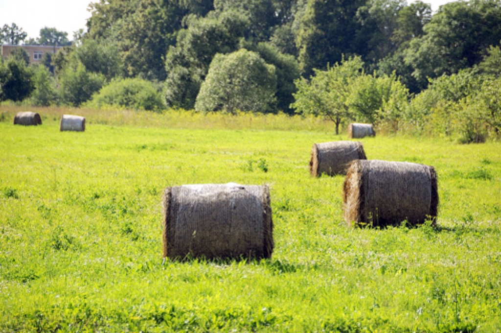 Daudzas zemnieku saimniecības zāles barību gādā, izmantojot jaunākās tehnoloģijas.