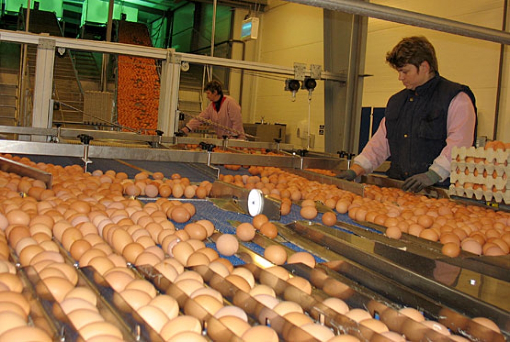 Autors: No «Bauskas Dzīves» arhīva.