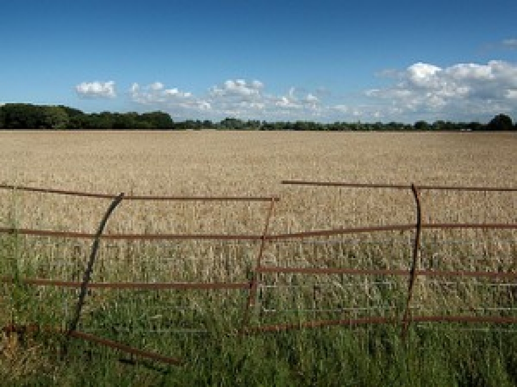 Fotoattēlam ilustratīva nozīme.