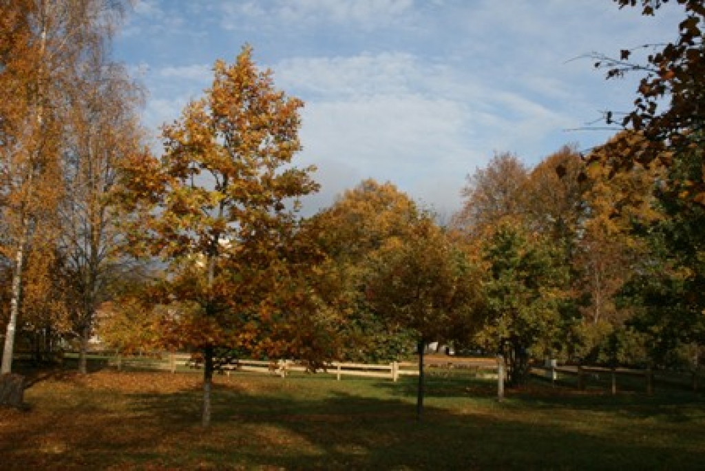 Fotoattēlam ilustratīva nozīme.