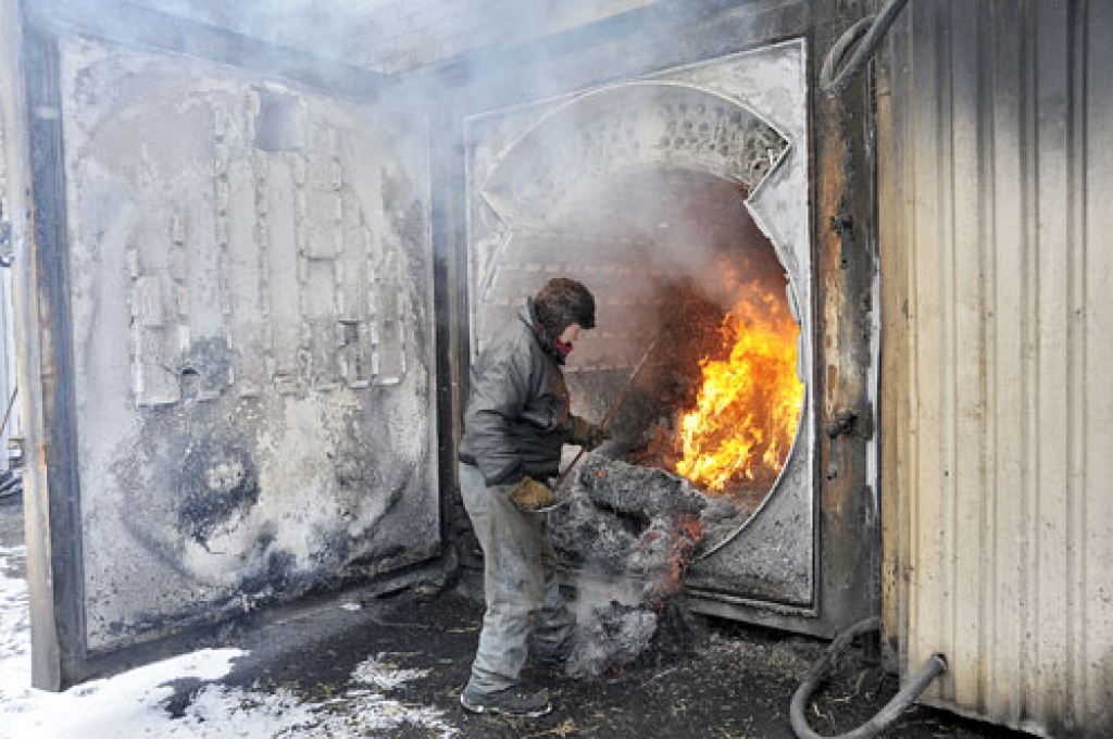 Saulainē siltumu iegūst, par kurināmo izmantojot salmus.
Autors: no «Bauskas Dzīves» arhīva