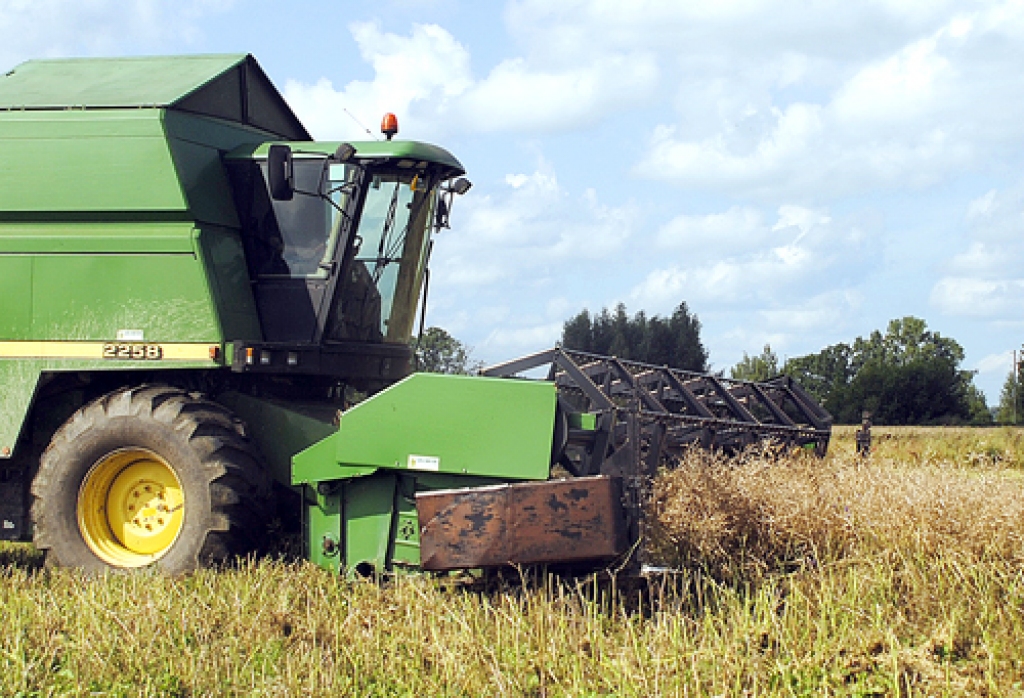 Šīs nedēļas pirmās trīs dienas ļāva aktivizēt ražas vākšanu, taču pēc 4. augusta nakts lietavām darbs atkal jāpārtrauc.
Autors: Juris Iļņickis