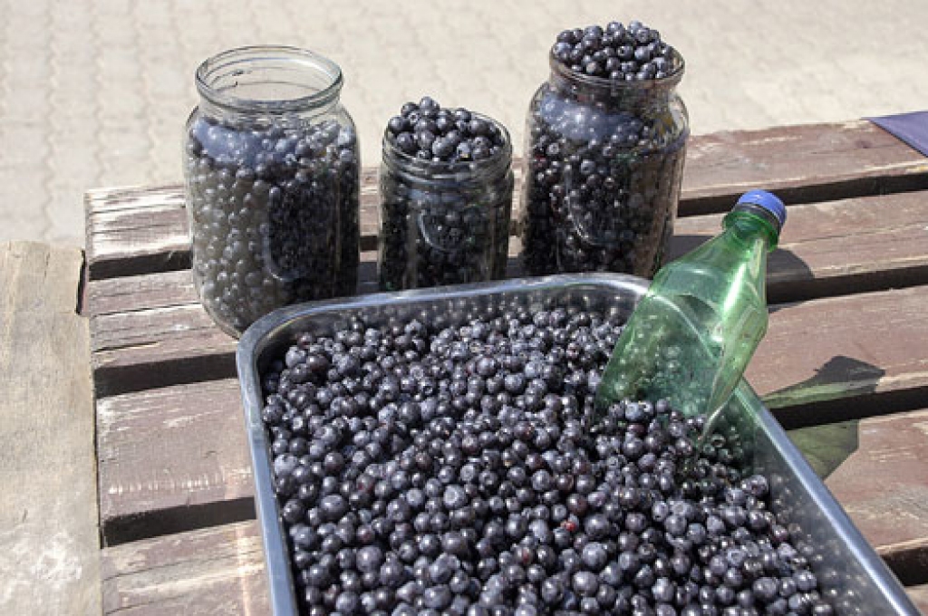 Autors: no «Bauskas Dzīves» arhīva