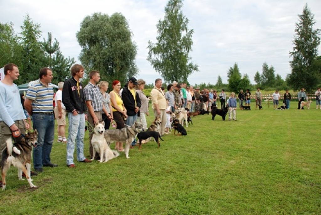 Šķirnes medību suņus nesen vērtēja Latvijas Mednieku kinoloģiskās apvienības 44. izstādē Jelgavas novadā. Galvenais eksperts bija baušķenieks Jānis Bite. Piedāvājam Edgara Piķeļa fotogrāfijās iemūžināto ieskatu šajā izstādē. 