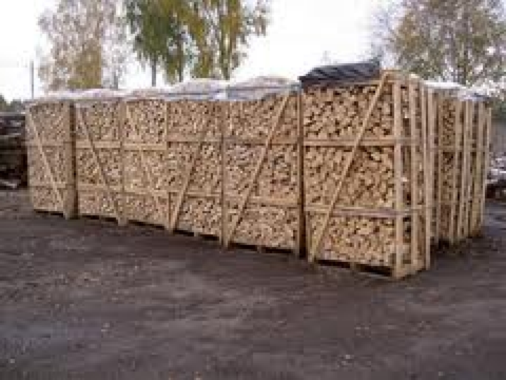 Fotoattēlam ilustratīva nozīme.
Autors: www.malkastirgus.lv