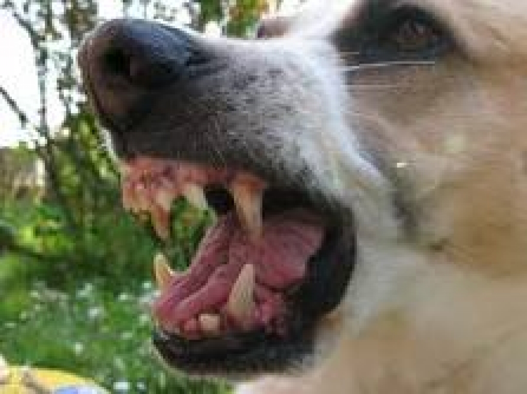 Fotoattēlam ilustratīva nozīme.