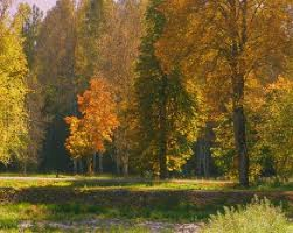 Fotoattēlam ilustratīva nozīme.
Autors: www.poga.lv