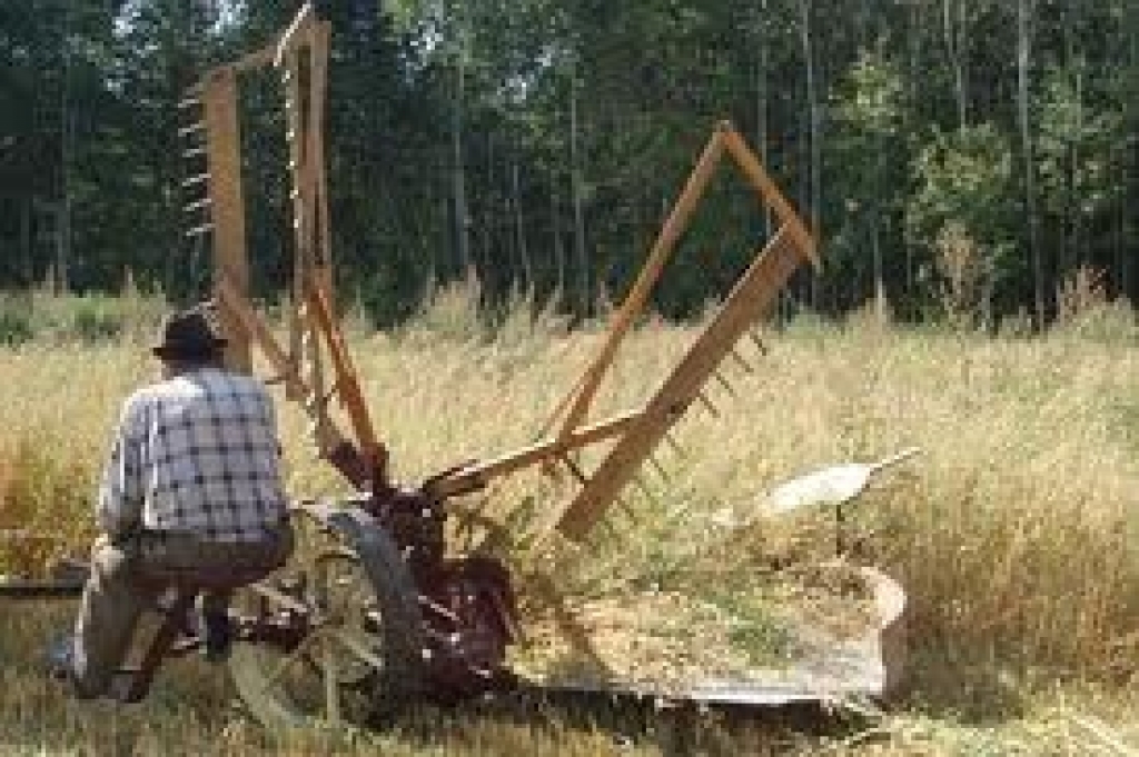  Bārbeles pagasta Ausekļu dzirnavu muzejs ir plašās Mediņu saimes izlolots un uzturēts objekts. Mediņi paveikuši vērienīgu darbu, popularizējot Latvijas lauku sētu laika ritumā un gādājot, lai senie darbarīki un amati neietu zūdībā. 
Autors: No «Bauskas Dzīves» arhīva.