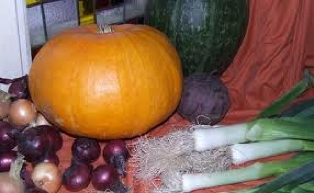 Fotoattēlam ilustratīva nozīme.