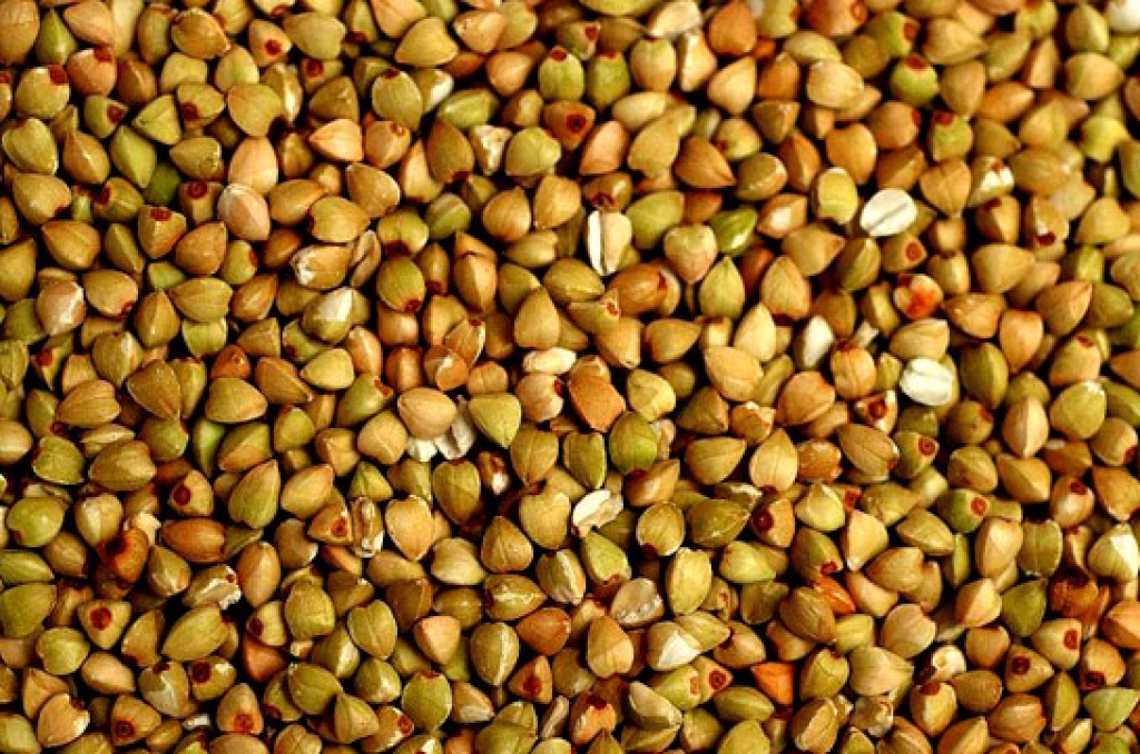 Fotoattēlam ilustratīva nozīme.