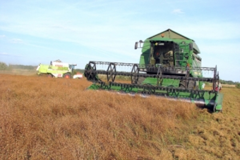 Autors: No «Bauskas Dzīves» arhīva.