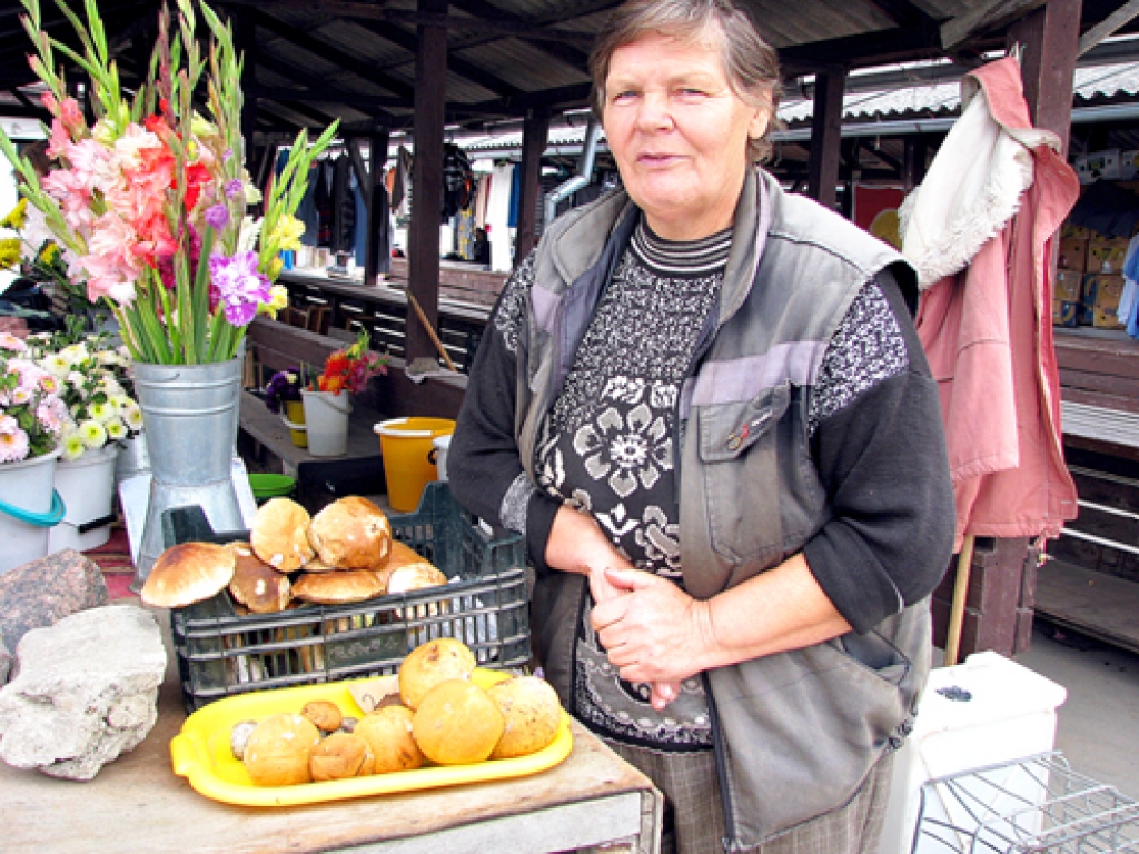Baušķeniece Vilma savai lietošanai jau salasījusi daudz baraviku, tagad tās var arī patirgot.
Autors: VILNIS AUZĀNS
