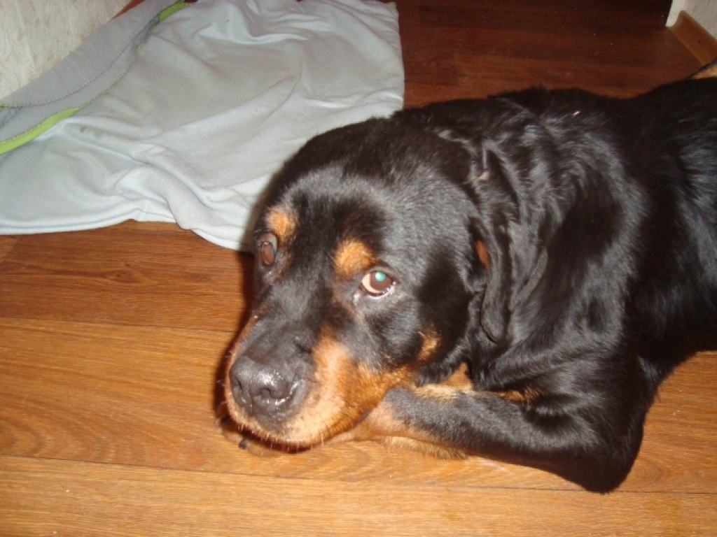 Fotoattēlam ilustratīva nozīme.