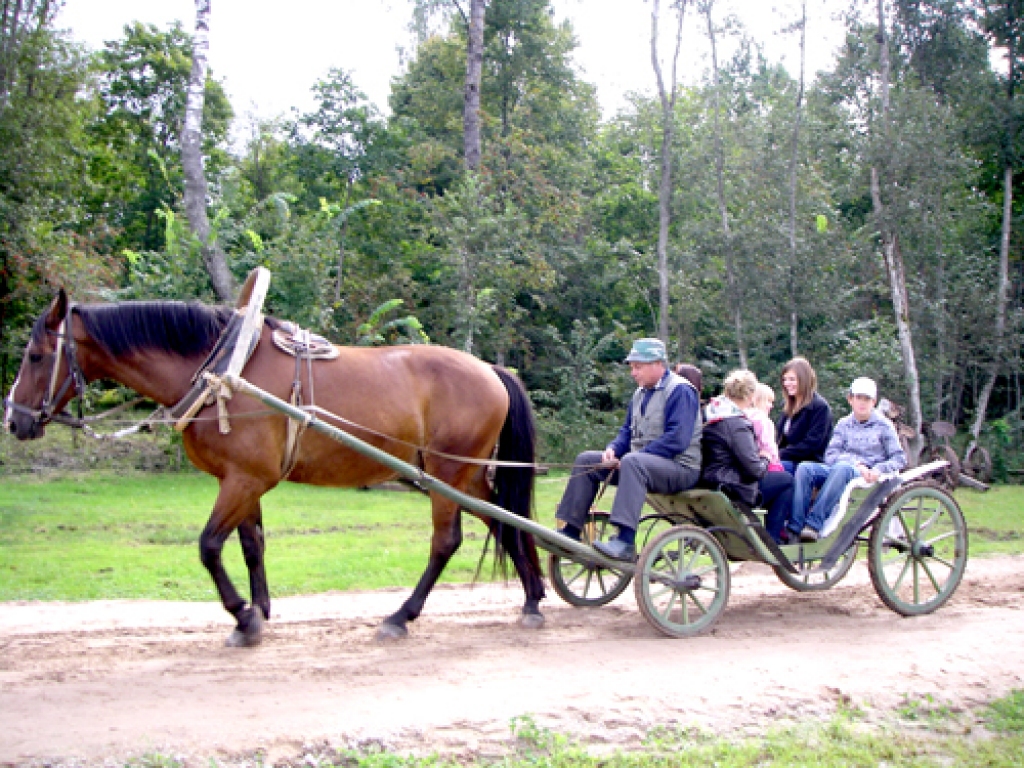 Pļaujas svētkos Ausekļu dzirnavu muzejā Bārbelē 4.septembrī tika akcentēta seno amatu tradīciju atjaunošana un popularizēšana.
Autors: A. URTĀNS