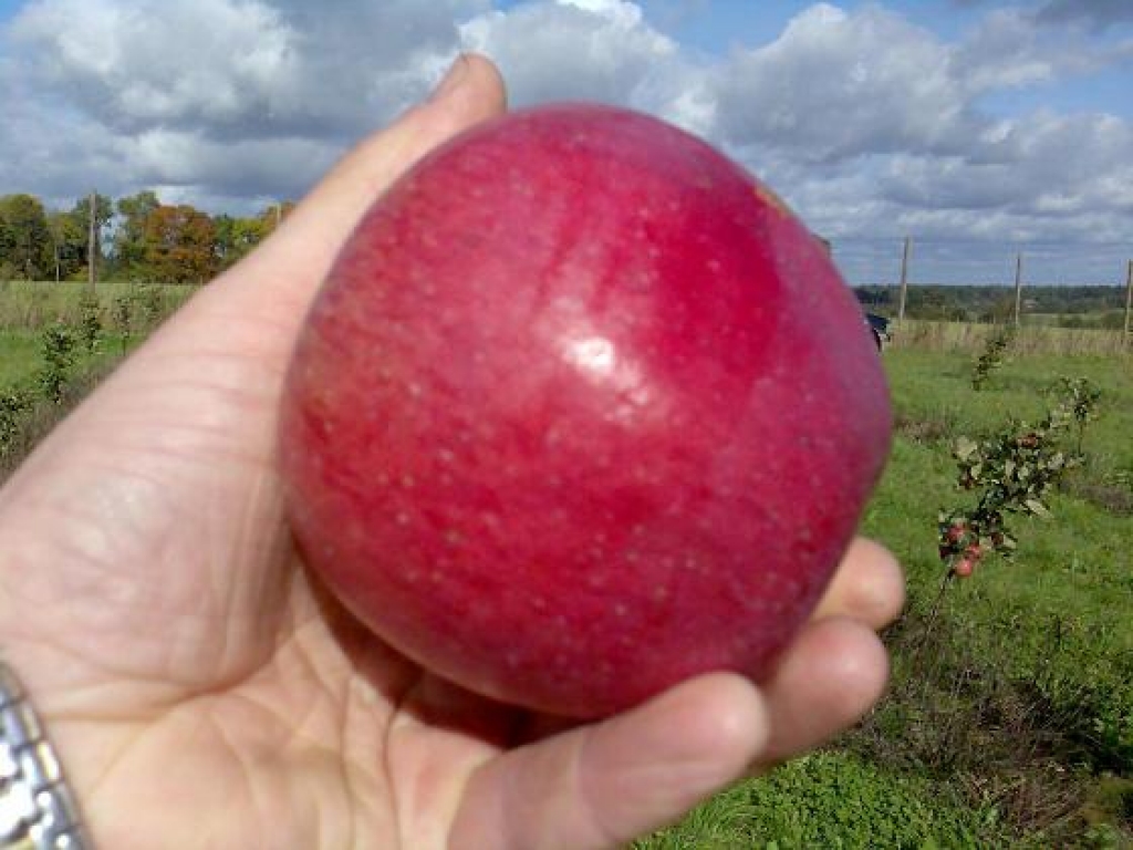 Fotoattēlam ilustratīva nozīme.