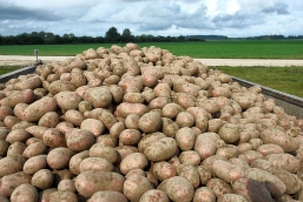 Fotoattēlam ilustratīva nozīme.
Autors: www.2la.lv