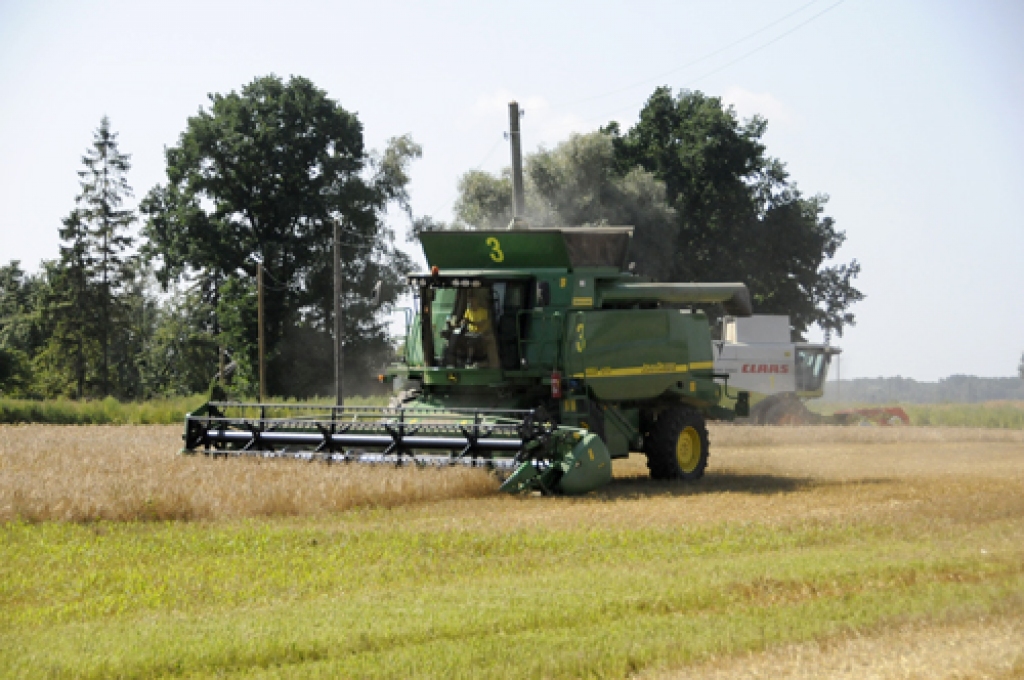 SIA «Uzvara-Lauks» ražas vākšanā šajā sezonā strādāja astoņi kombaini. 
Autors: Ivars Bogdanovs