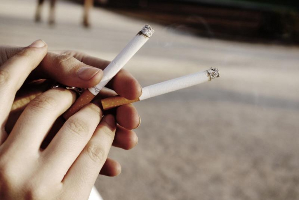 Autors: no www.poga.lv